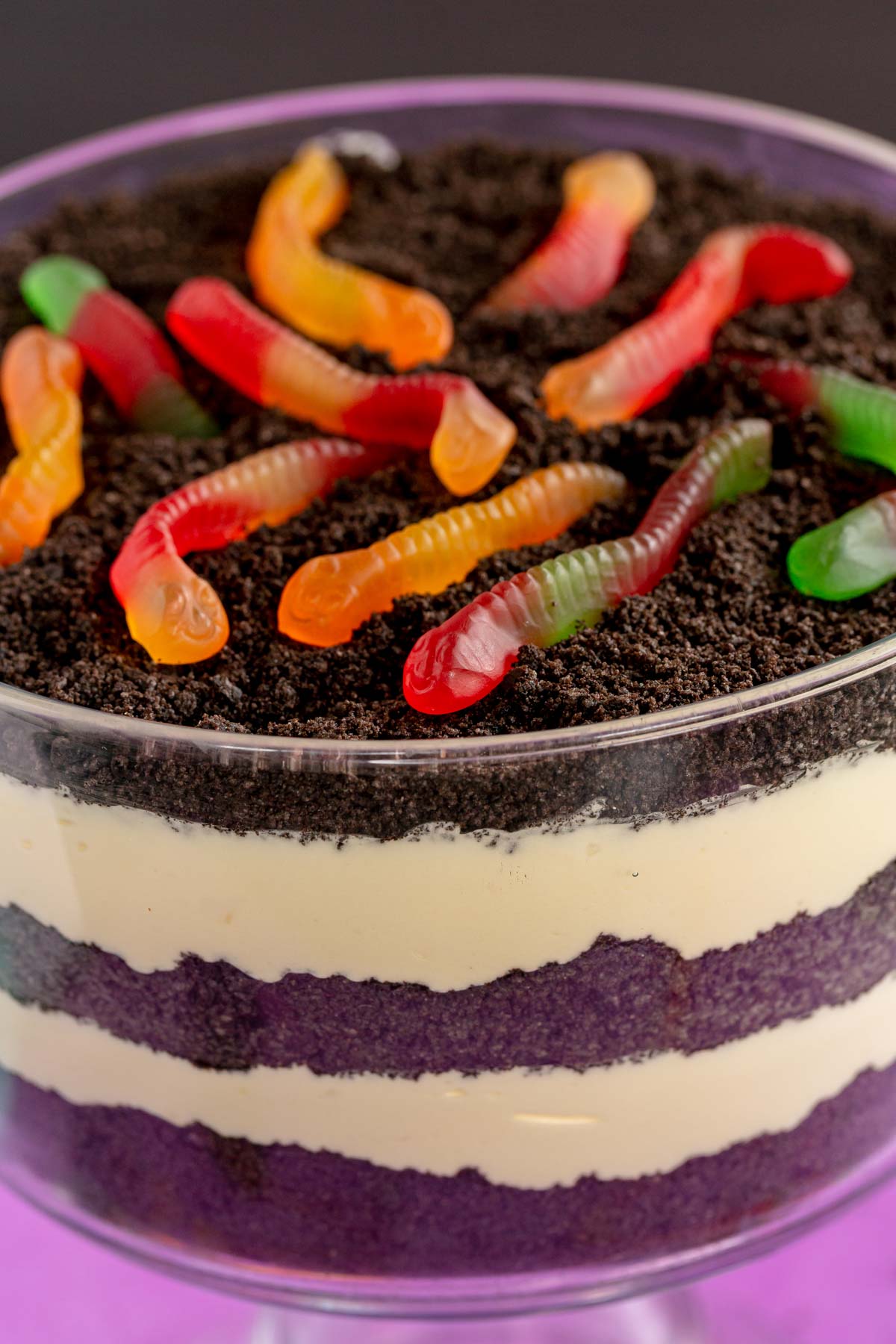 Close up view of worms on top of an Oreo dirt cake