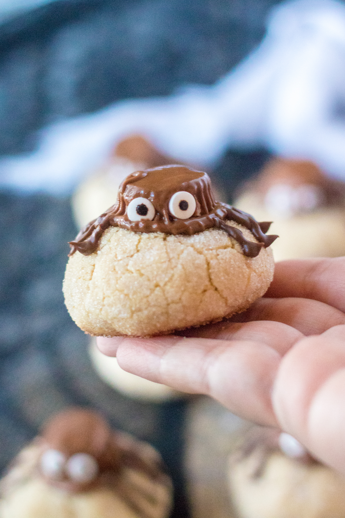peanut butter spider cookie in someone's hand