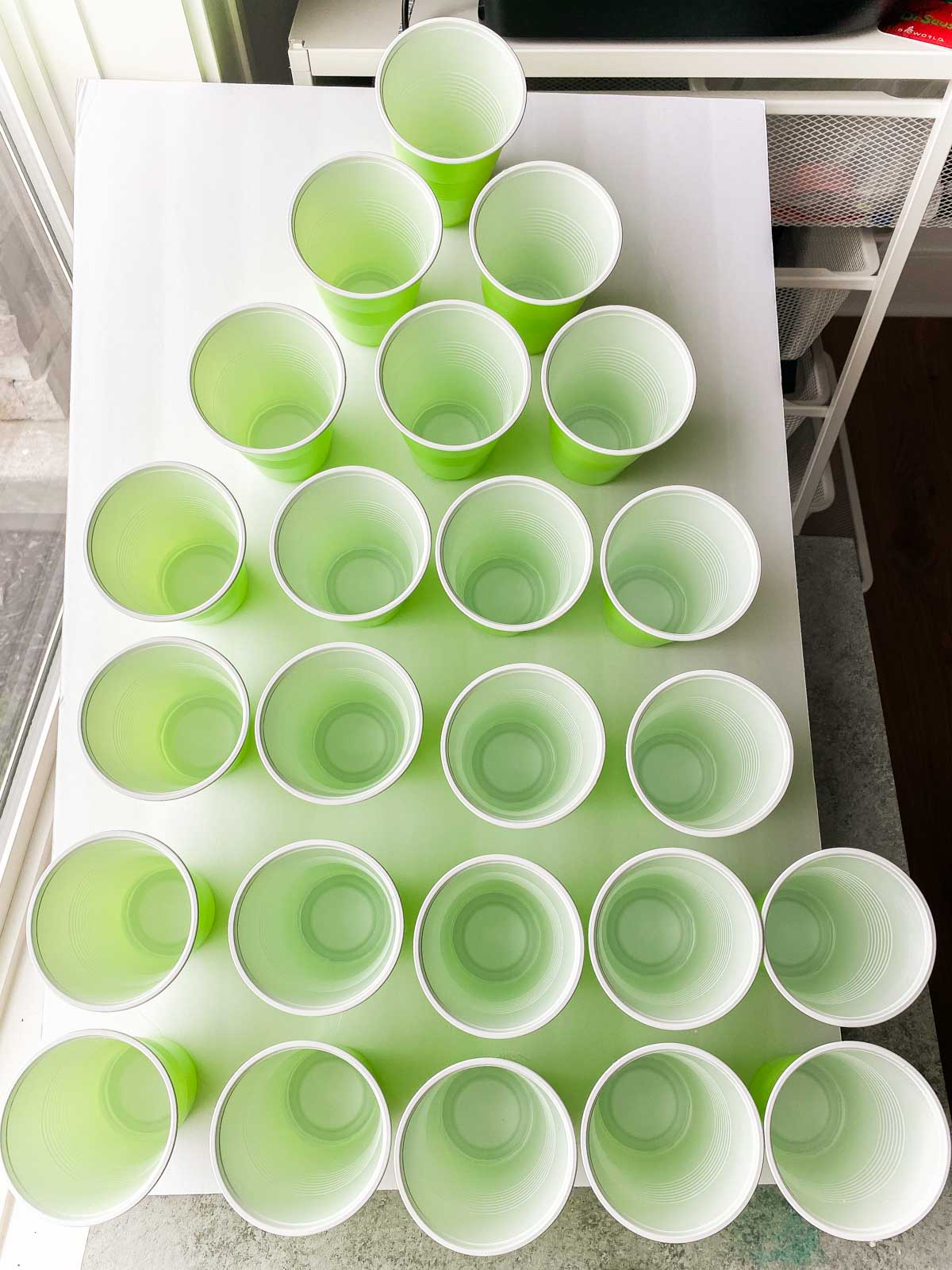 green plastic cups glued to a foam board