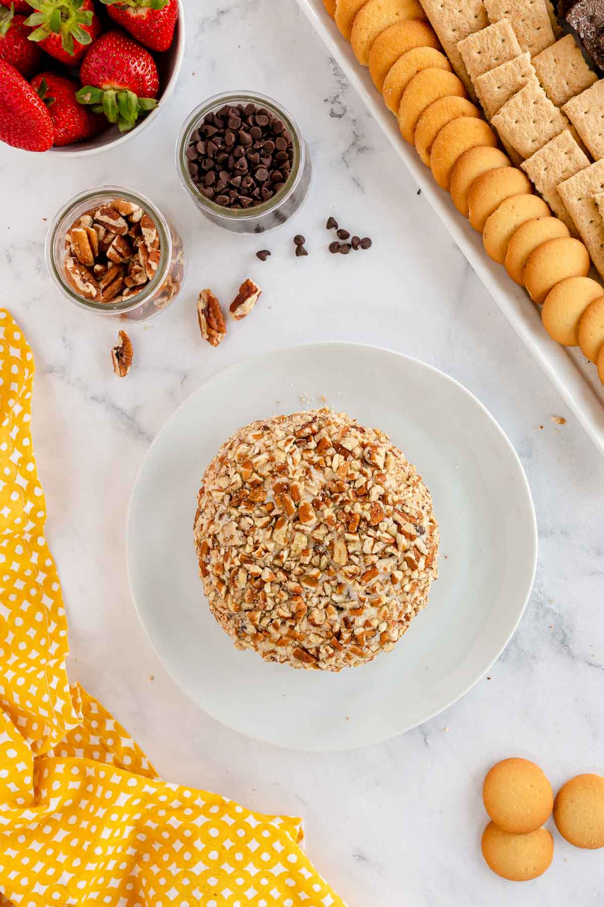 chocolate chip cheese ball rolled in pecans
