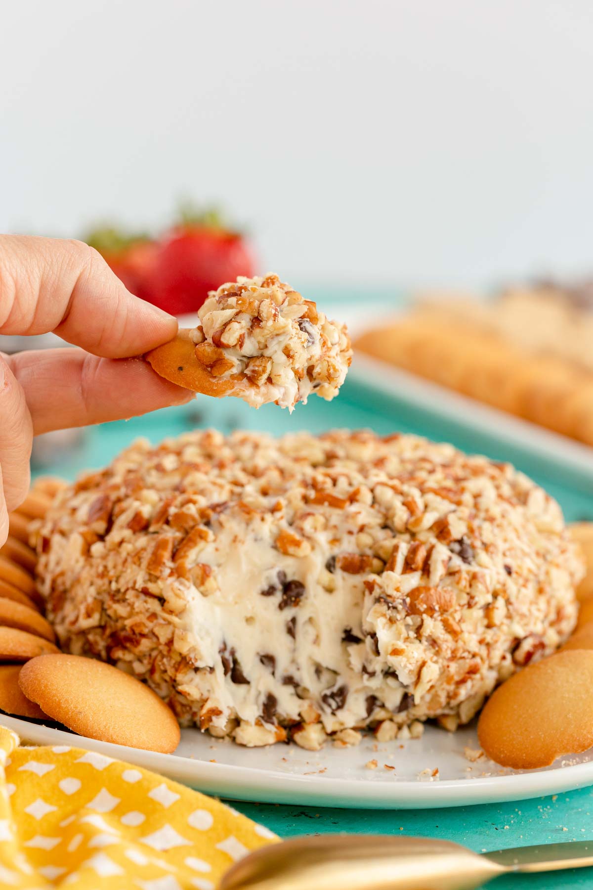 hand holding a cookie over a chocolate chip cheese ball