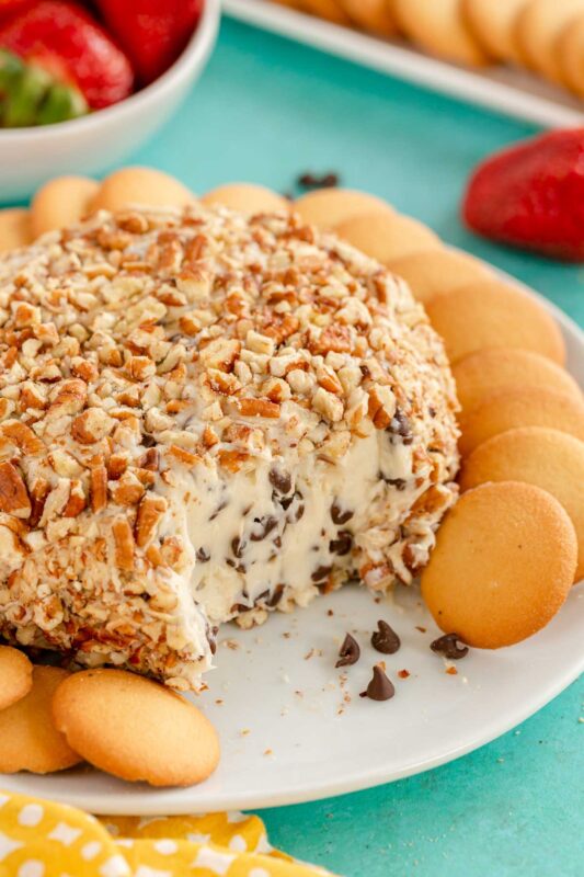 chocolate chip cheese ball on a white plate
