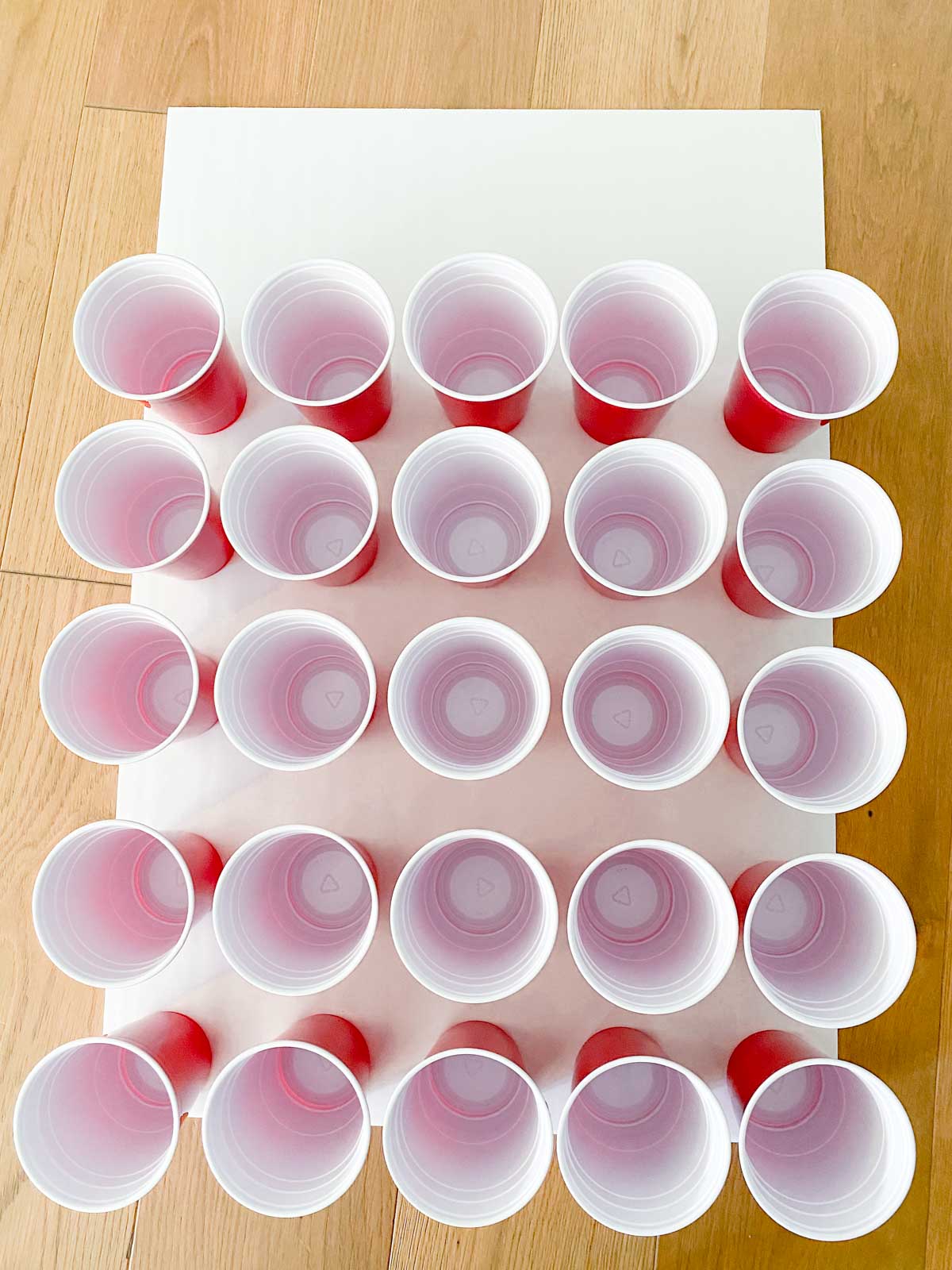 plastic cups in 5x5 lines on a foam board