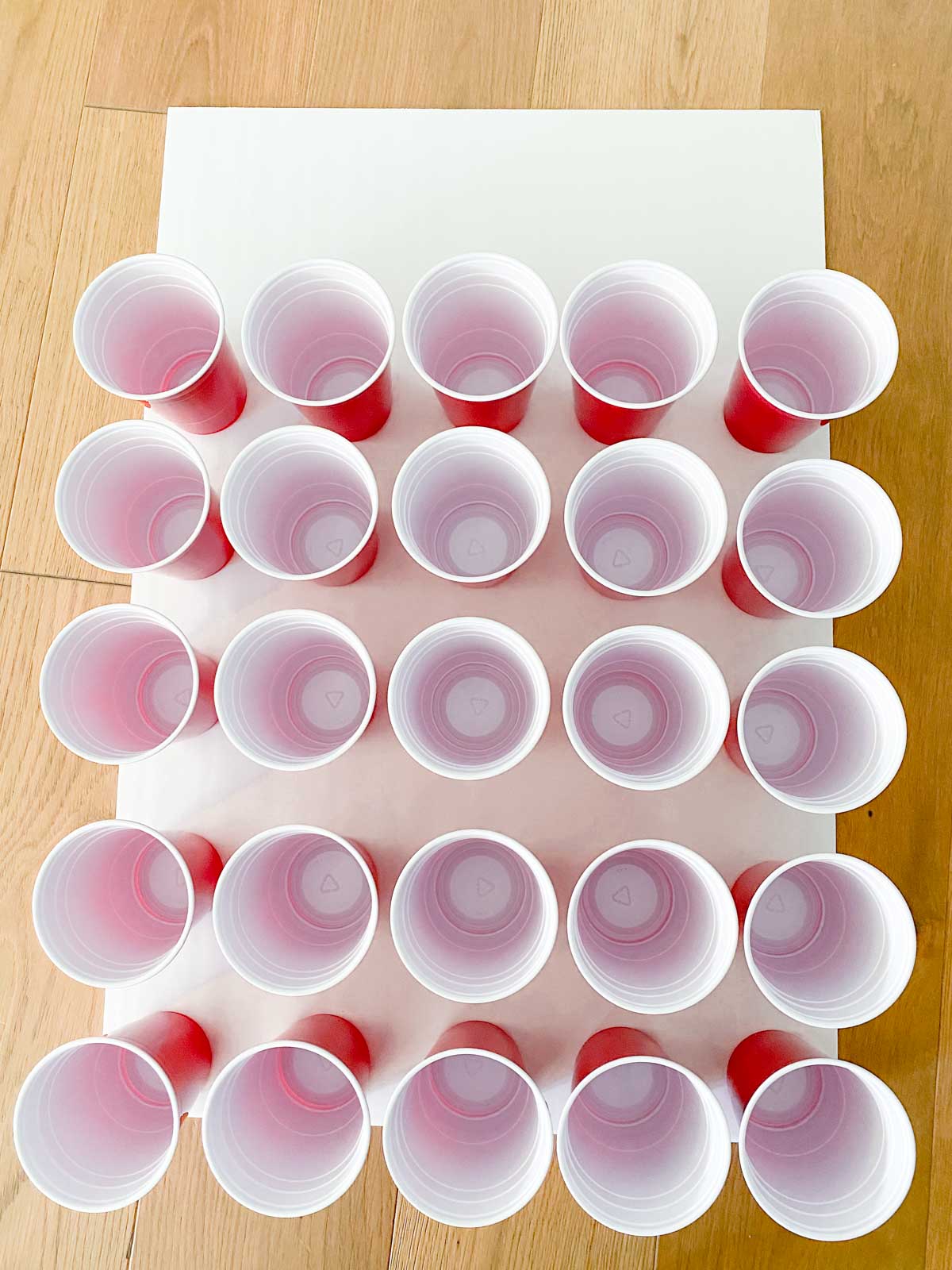 plastic cups in 5x5 lines on a foam board