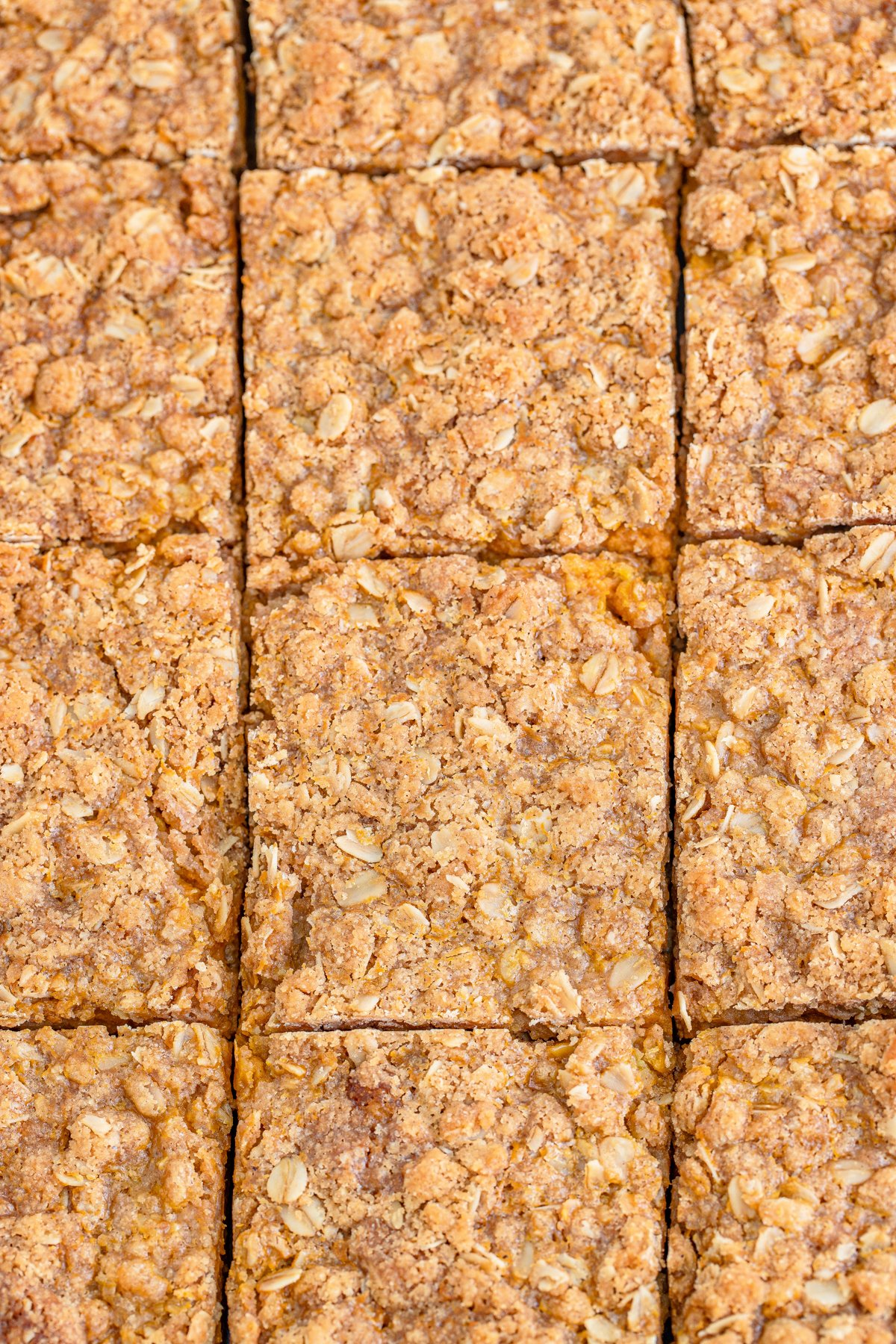 sliced pumpkin bars with an oat topping