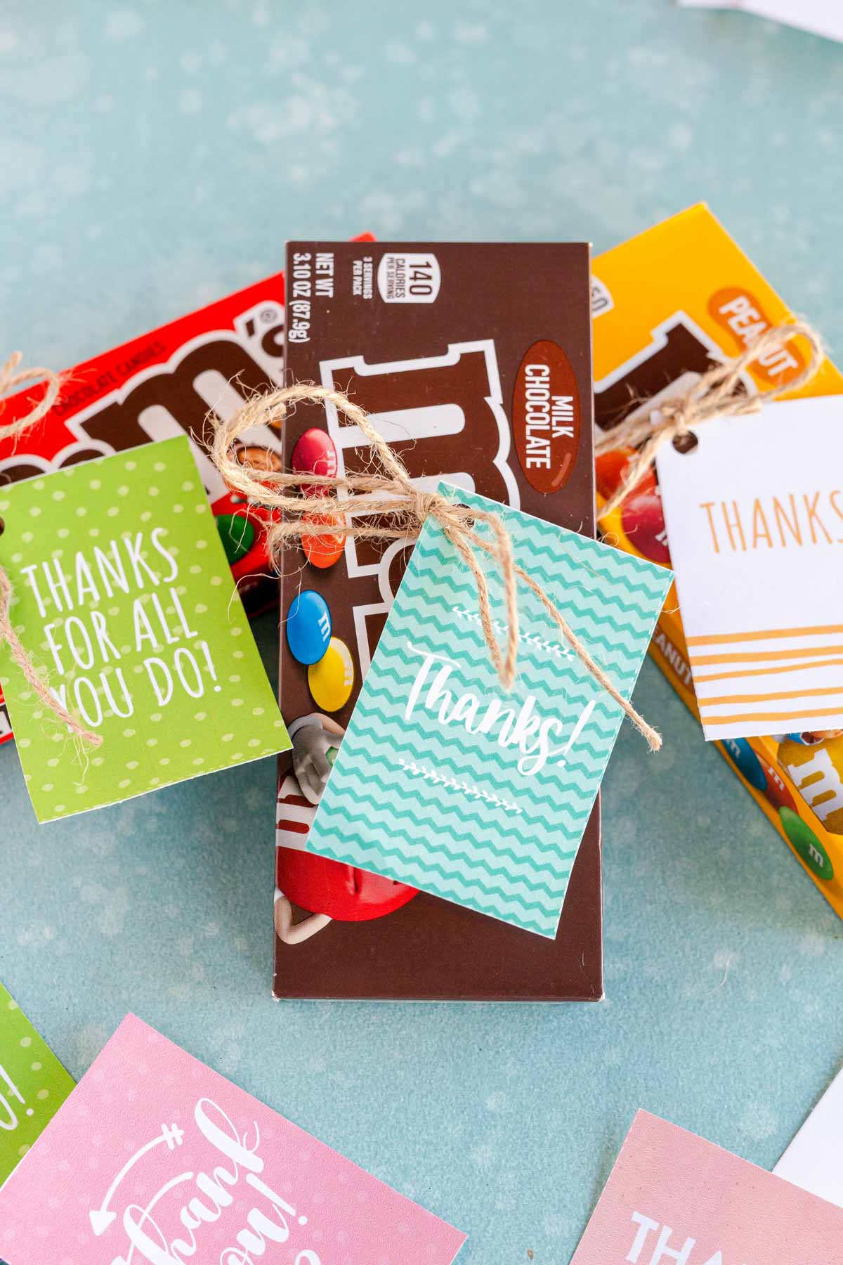 Num Noms Thank You Tags, Printable Num Noms Gift Tags, Num Noms Party Thank  You Tags Instant Download 