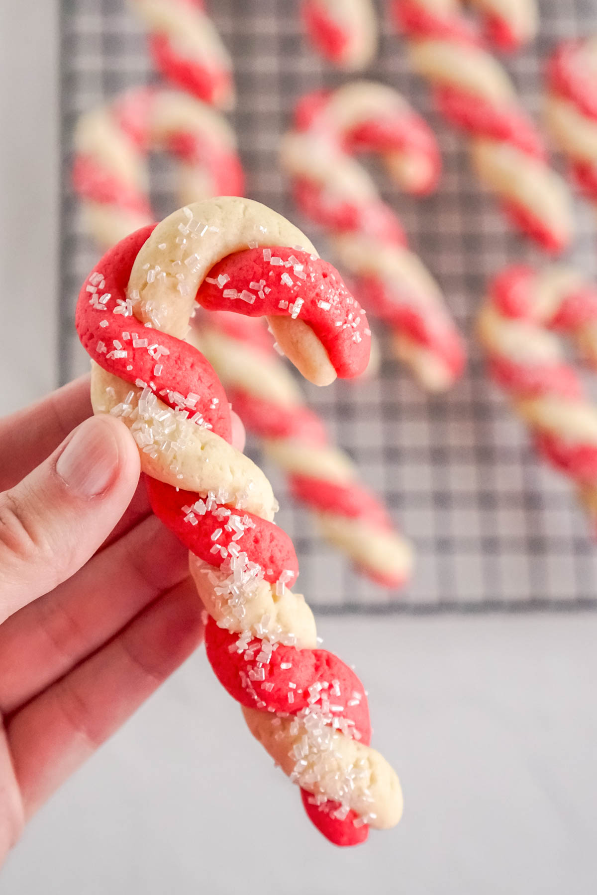 hand holding a candy cane cookie