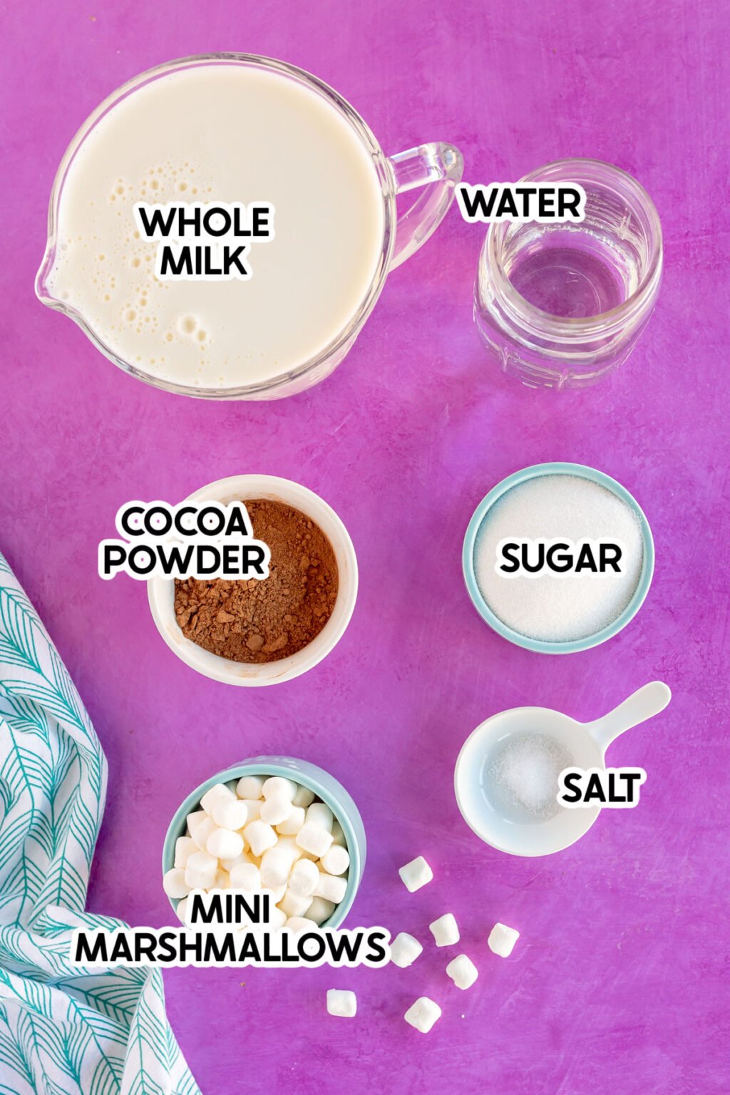 5Minute Homemade Hot Chocolate Recipe Play Party Plan