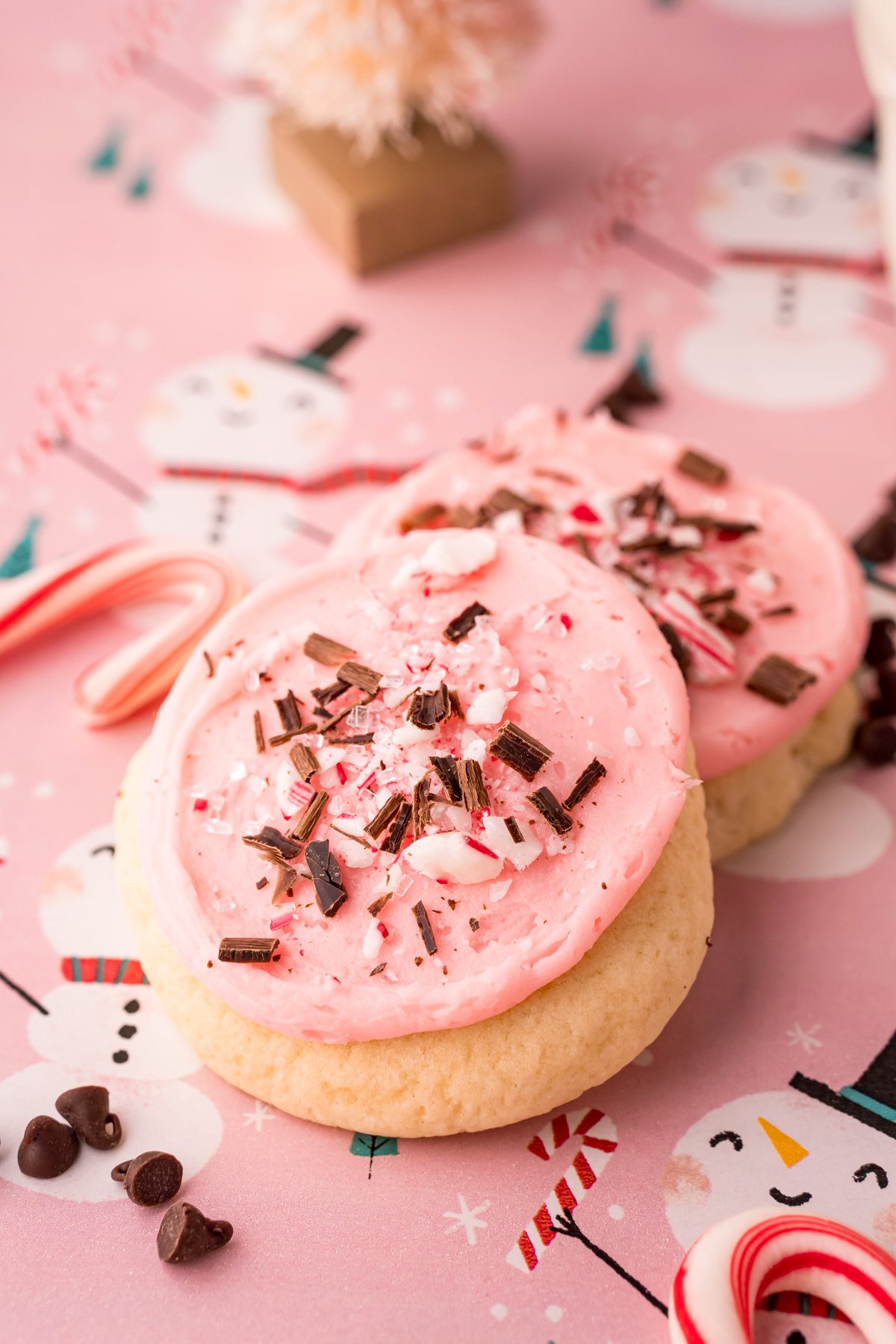 two peppermint sugar cookies with frosting