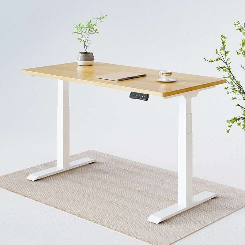 FlexiSpot Standing Desk on a piece of carpet