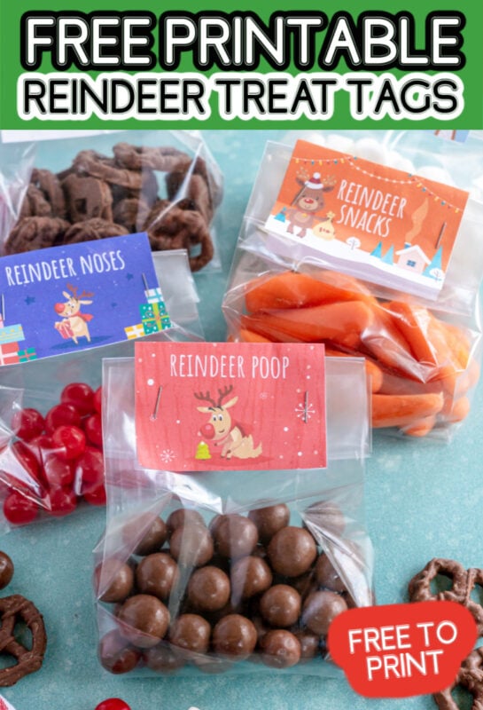 Free Printable Reindeer Poop and Reindeer Treat Tags - 23