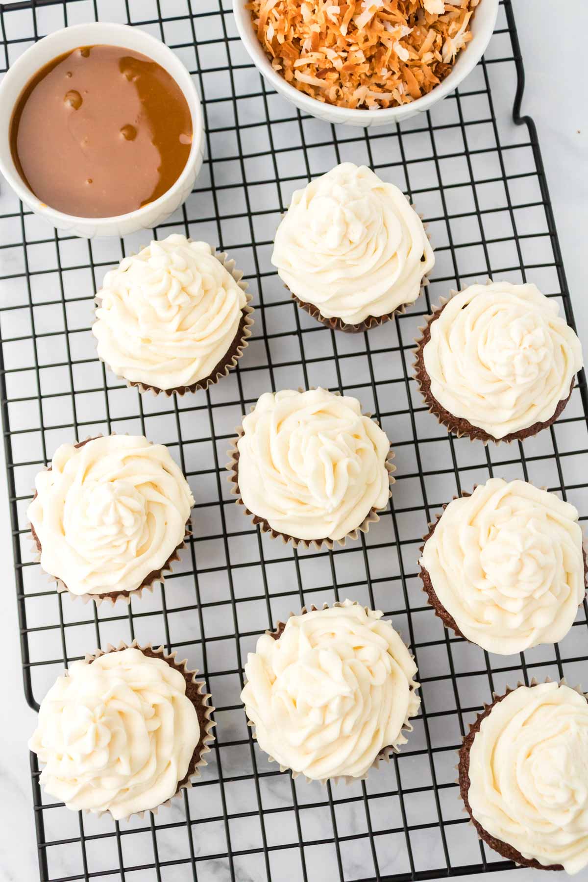 chocolate cupcakes topped with vanilla buttercream