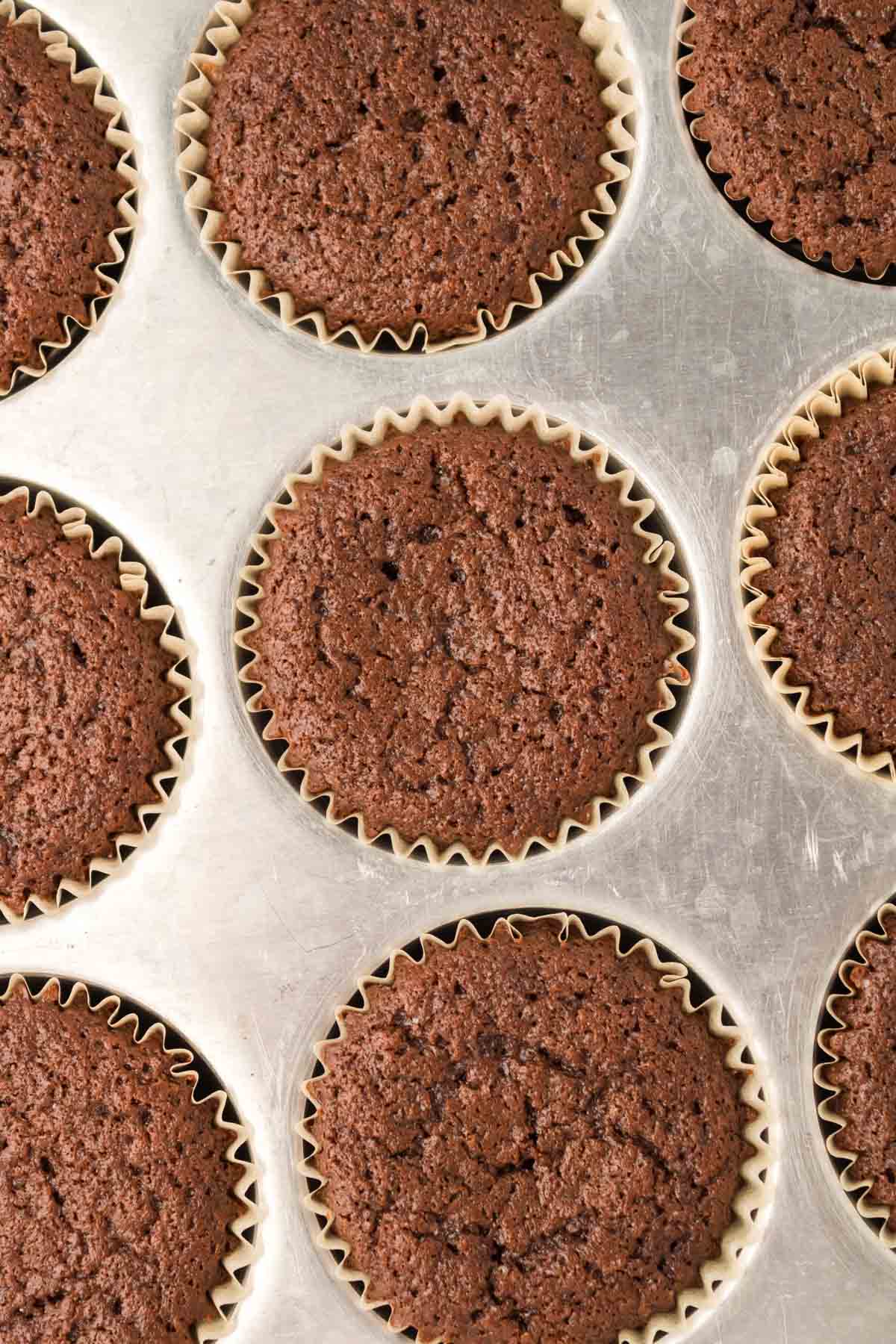 baked Samoa cupcakes in a muffin tin