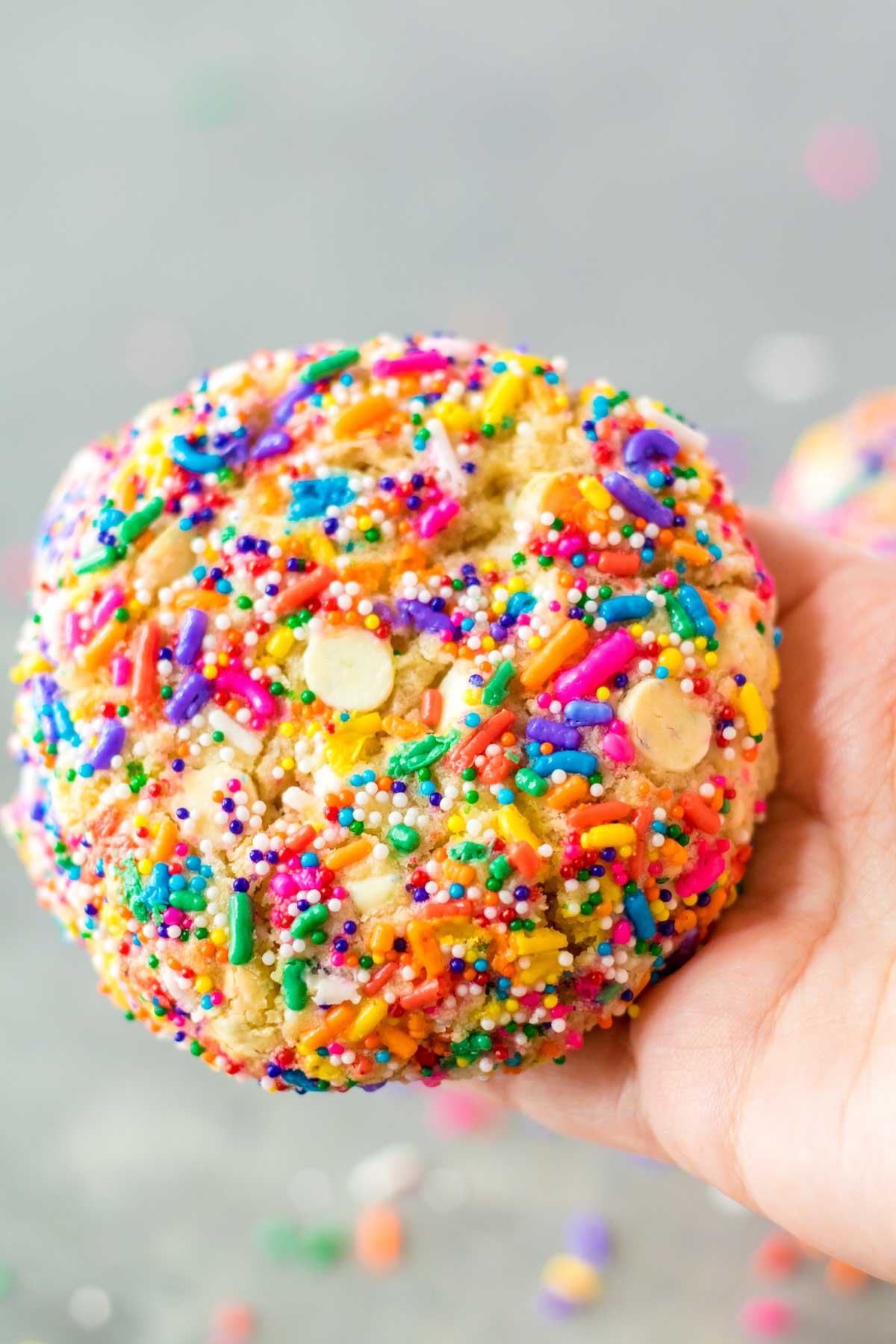hand holding a sprinkle cookie