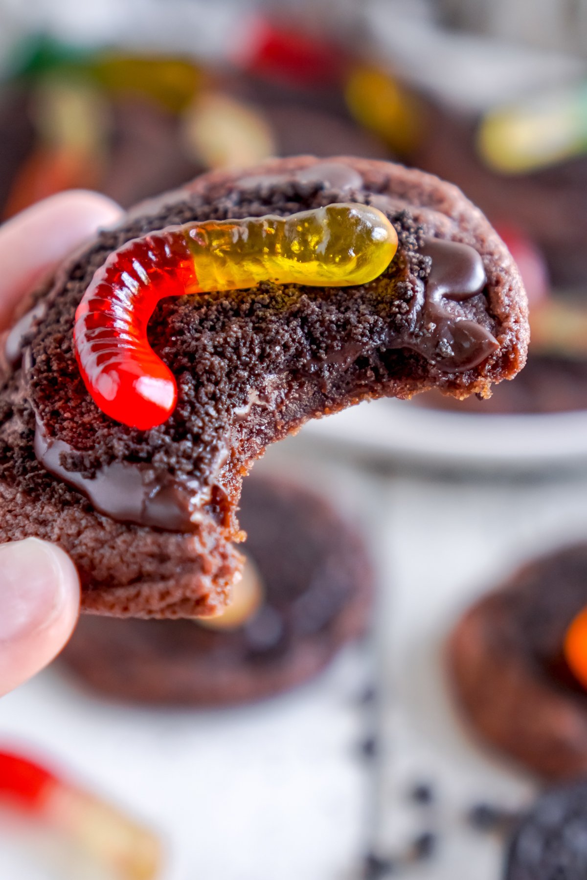 hand holding a dirt cookie with bite out of it