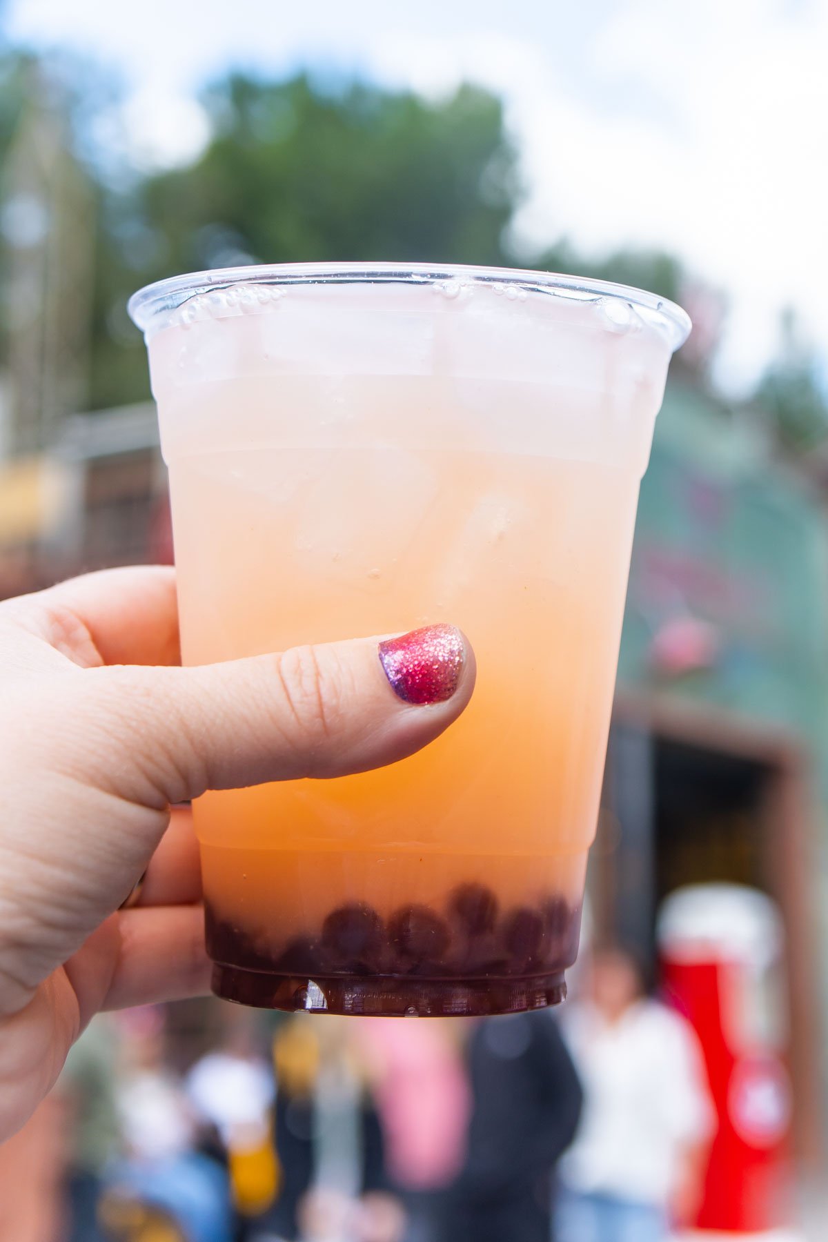 2022 Disneyland Food and Wine Festival Menu  with photos  - 52