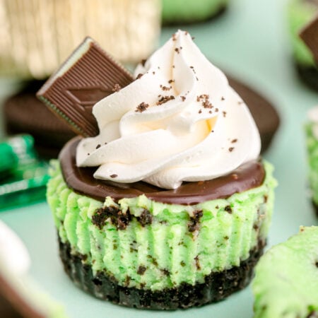 Mini Andes Mint Chocolate Cheesecake - 33