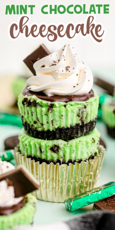 Mini Andes Mint Chocolate Cheesecake - 55