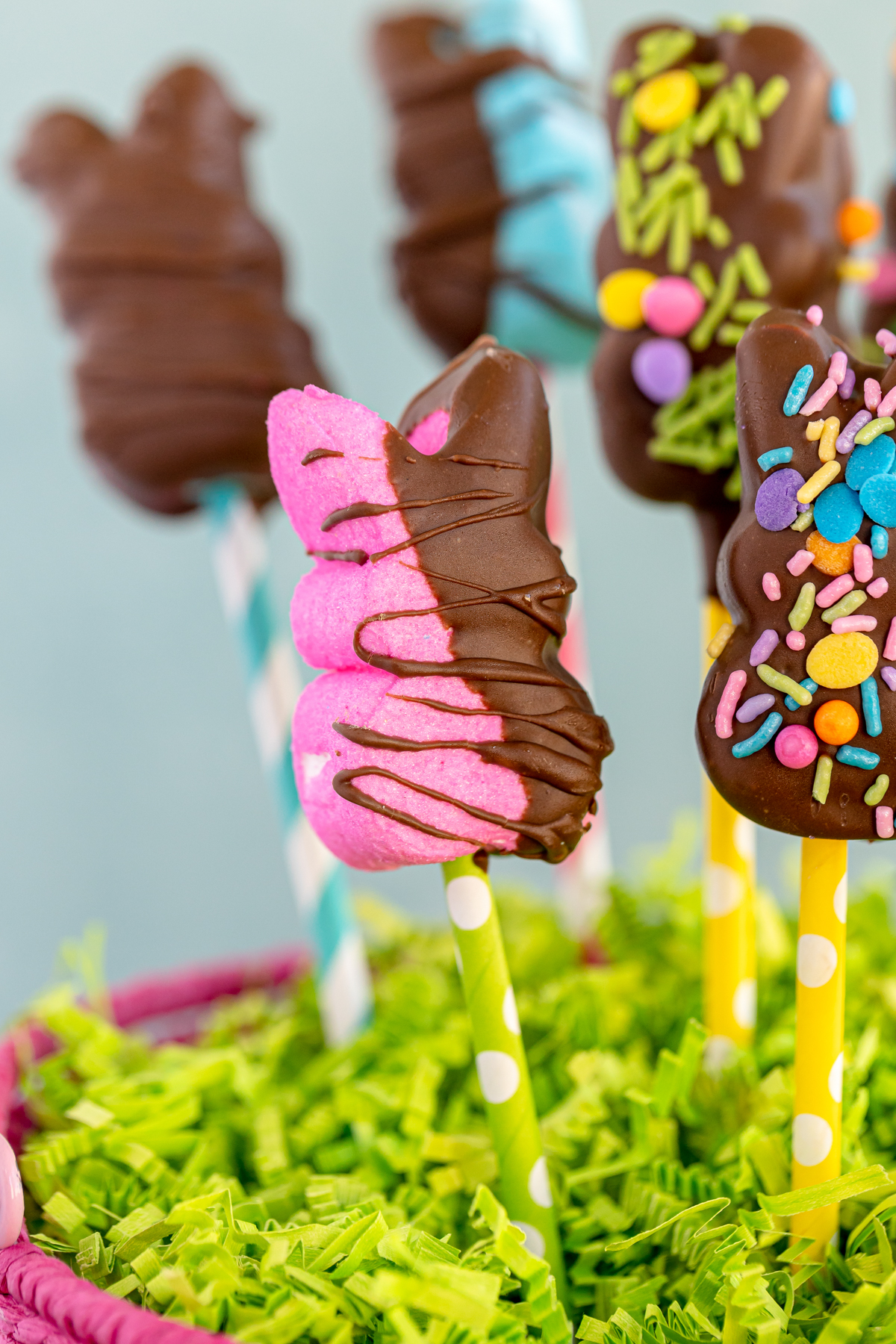 half chocolate covered Peeps on a stick