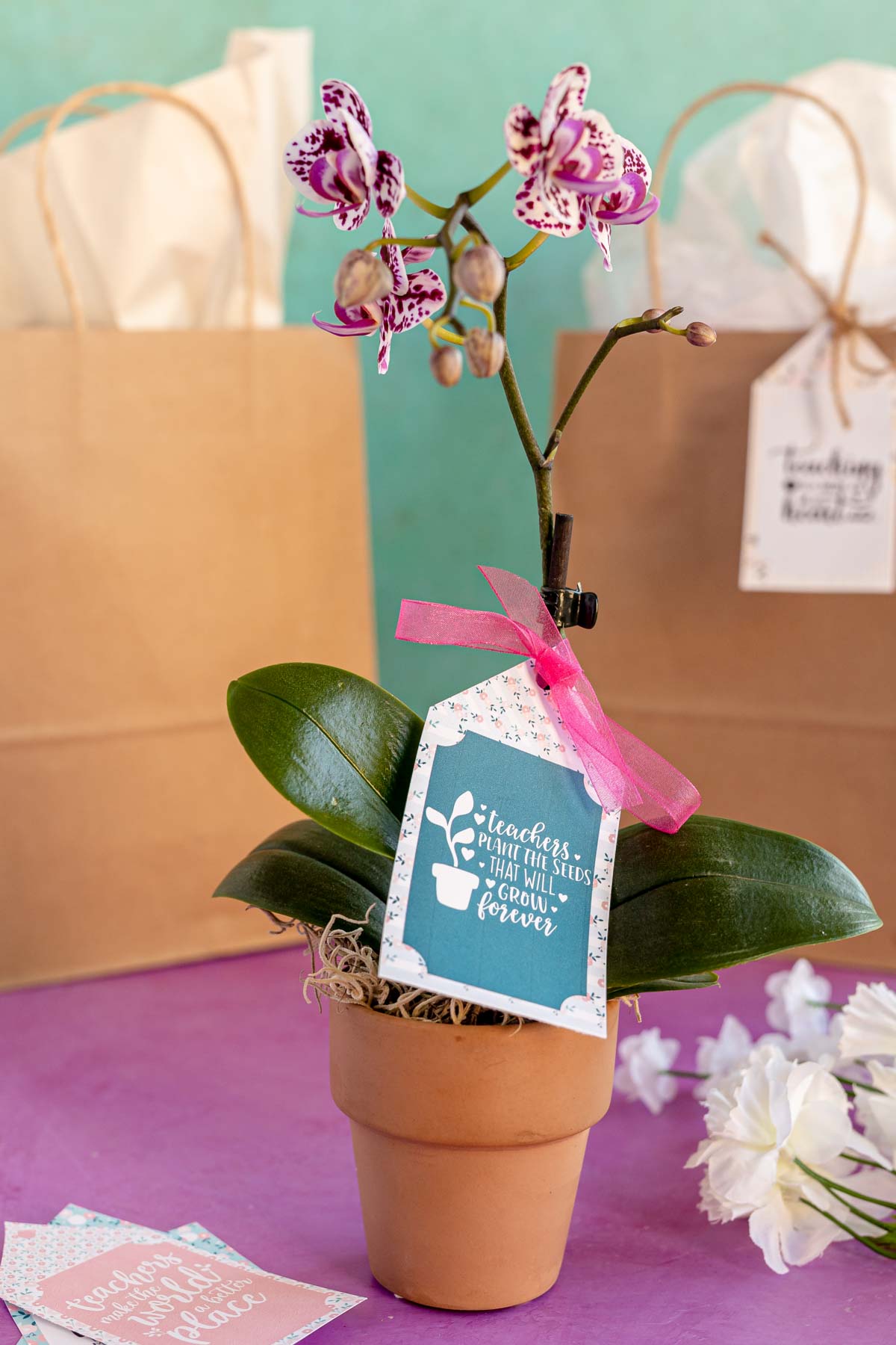 teacher gift tag on a plant