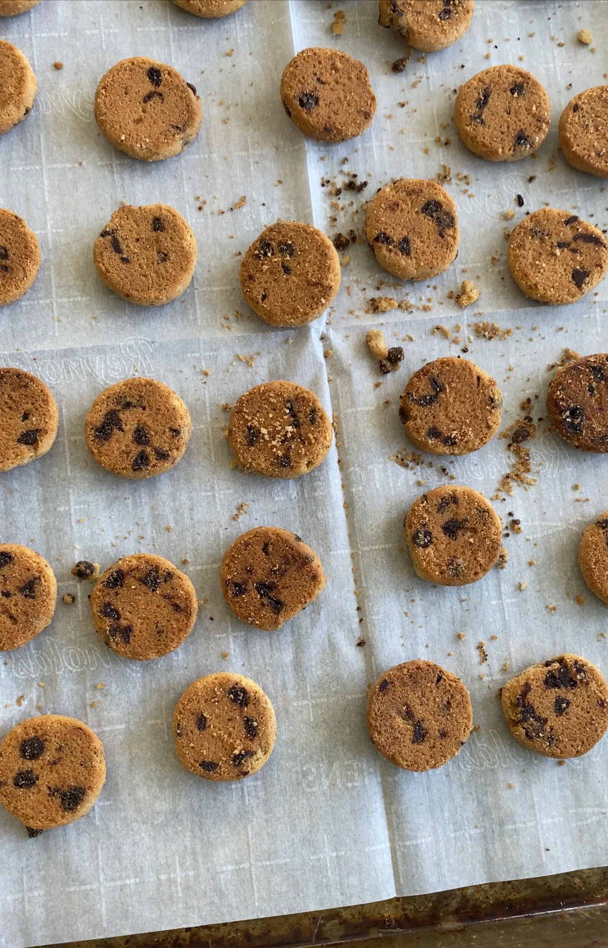 mini cookies on a baking sheet