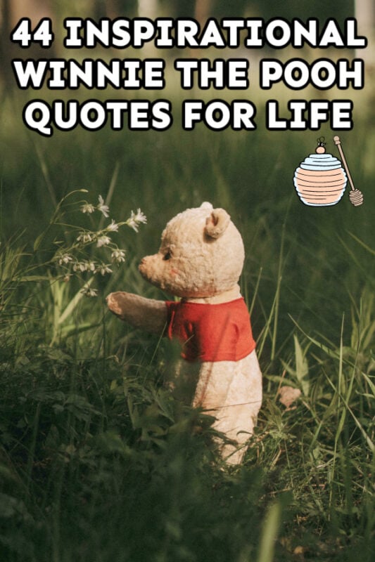 winnie the pooh statue with a quote on its head