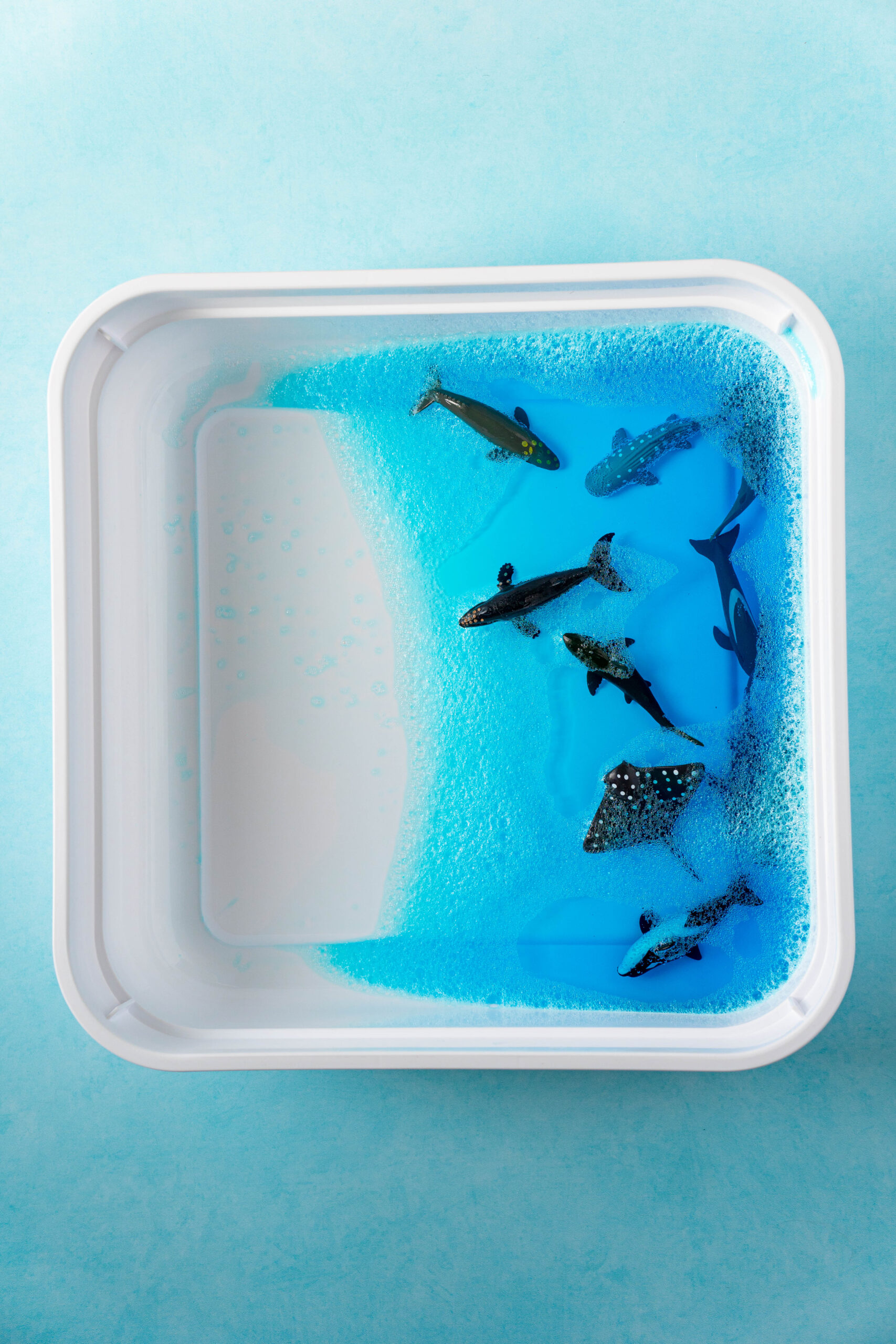 blue jello with sea creatures
