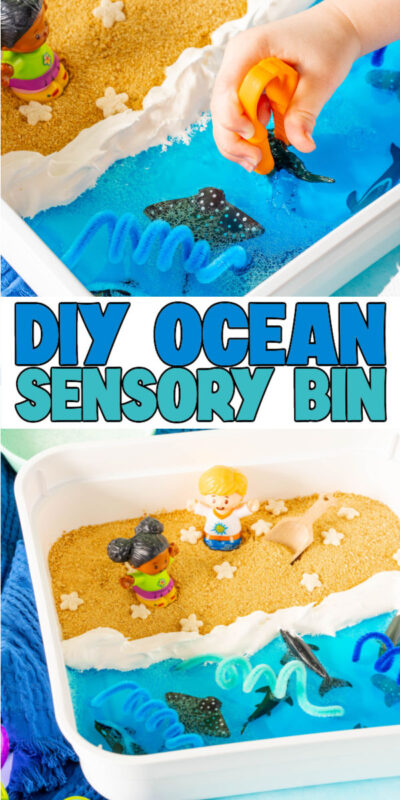 ocean sensory bin