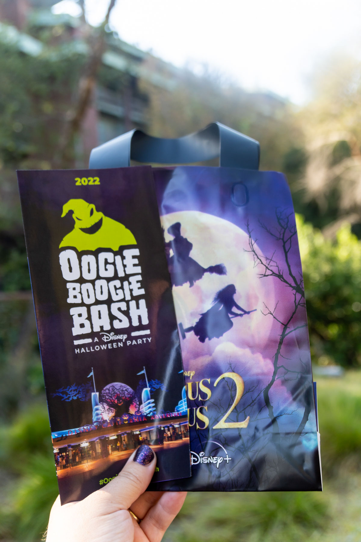 map and bag for Oogie Boogie Bash 2022