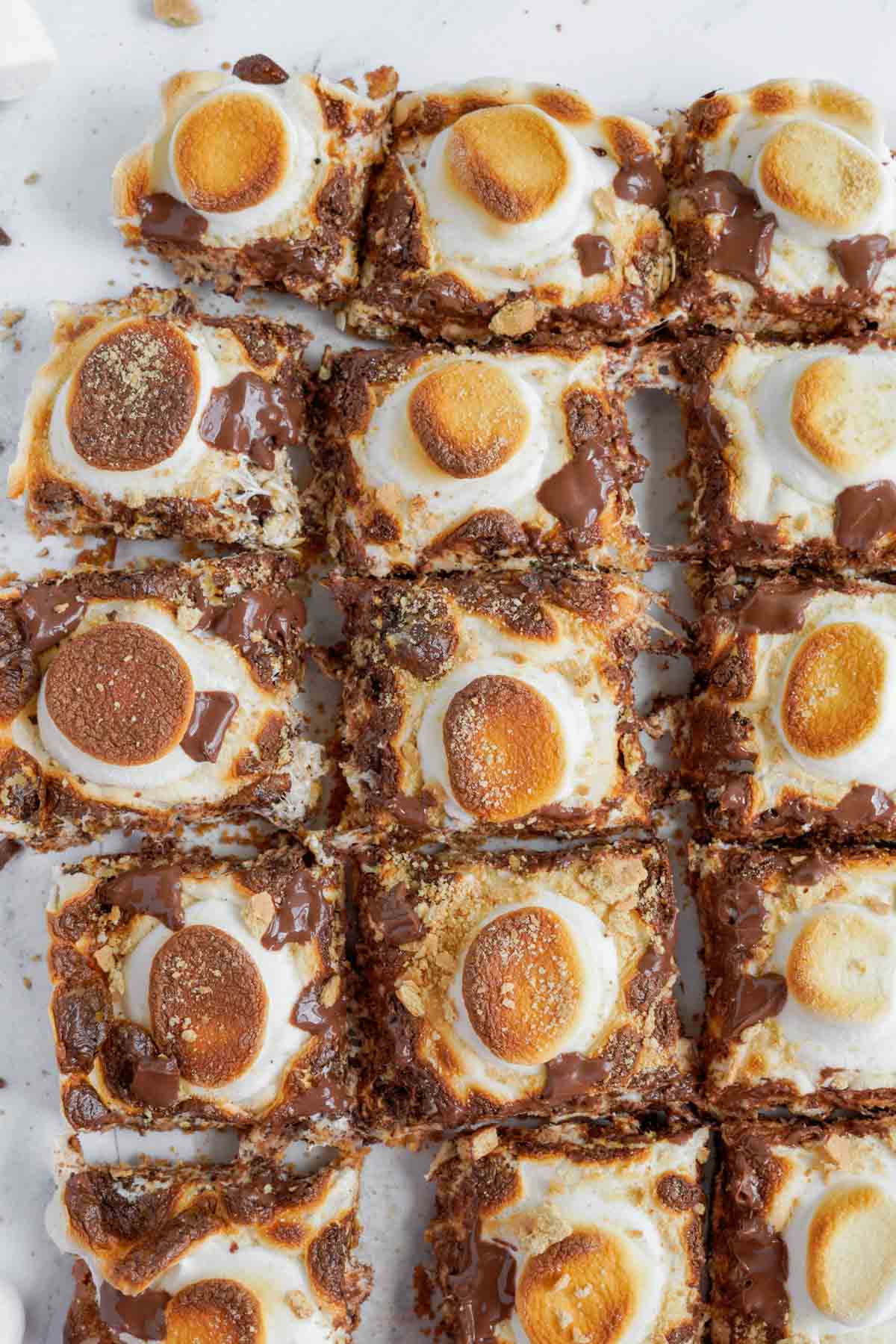 toasted s'mores bars cut into squares