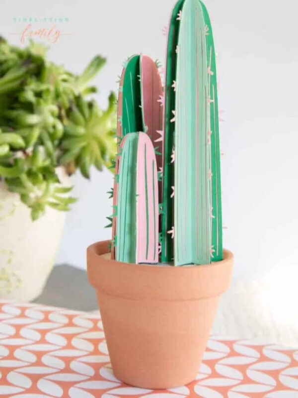 paper cactus