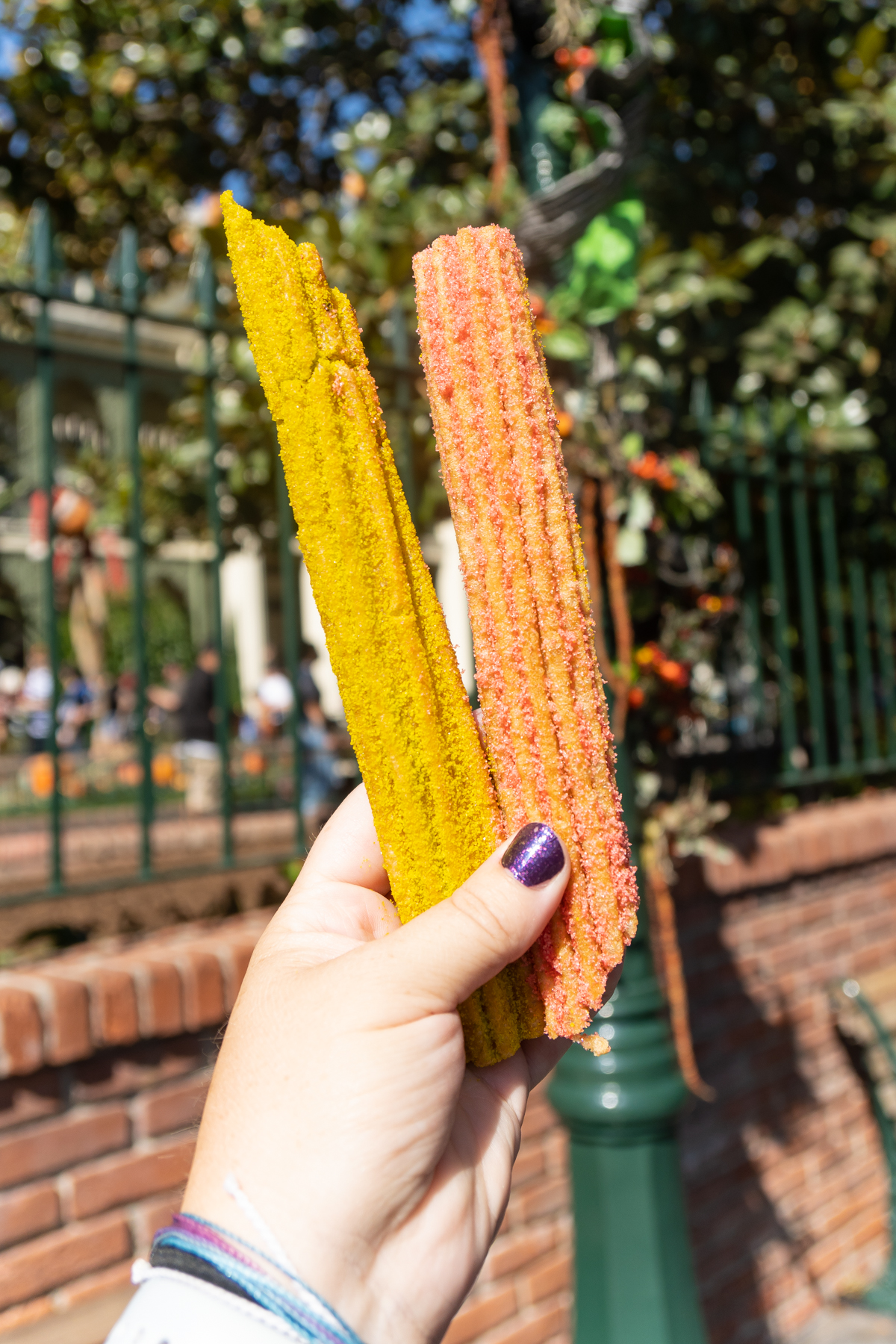 hand holding a pistachio and sour cherry churro