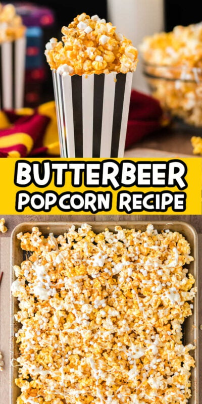butterbeer popcorn pin