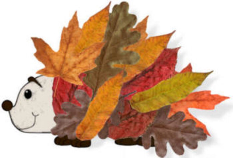 hedgehog decorated with leaves