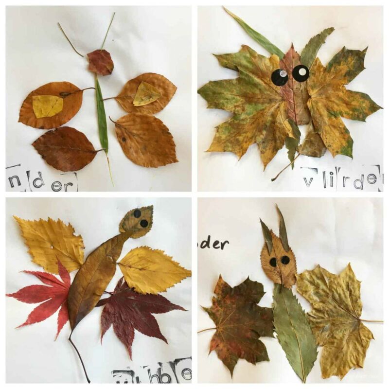 leaves glued to a paper to look like animals