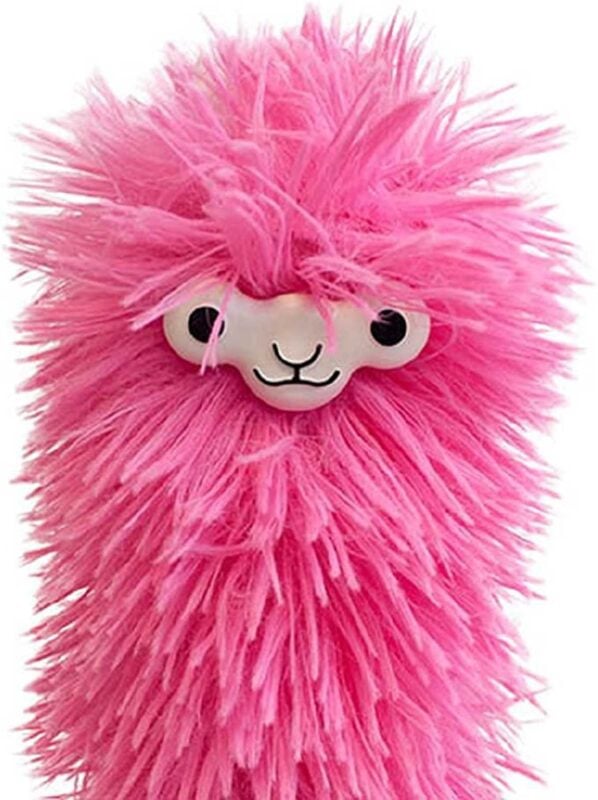 40 Funny White Elephant Gift Ideas Under  30 - 72