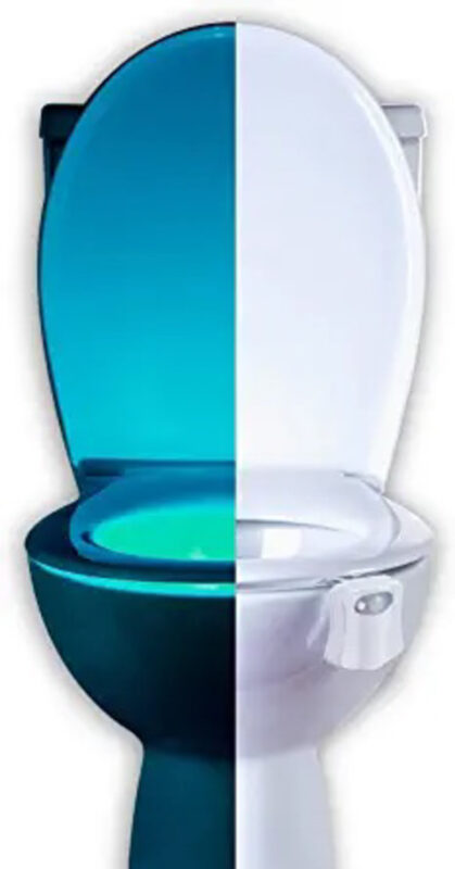 LED toilet bowl light