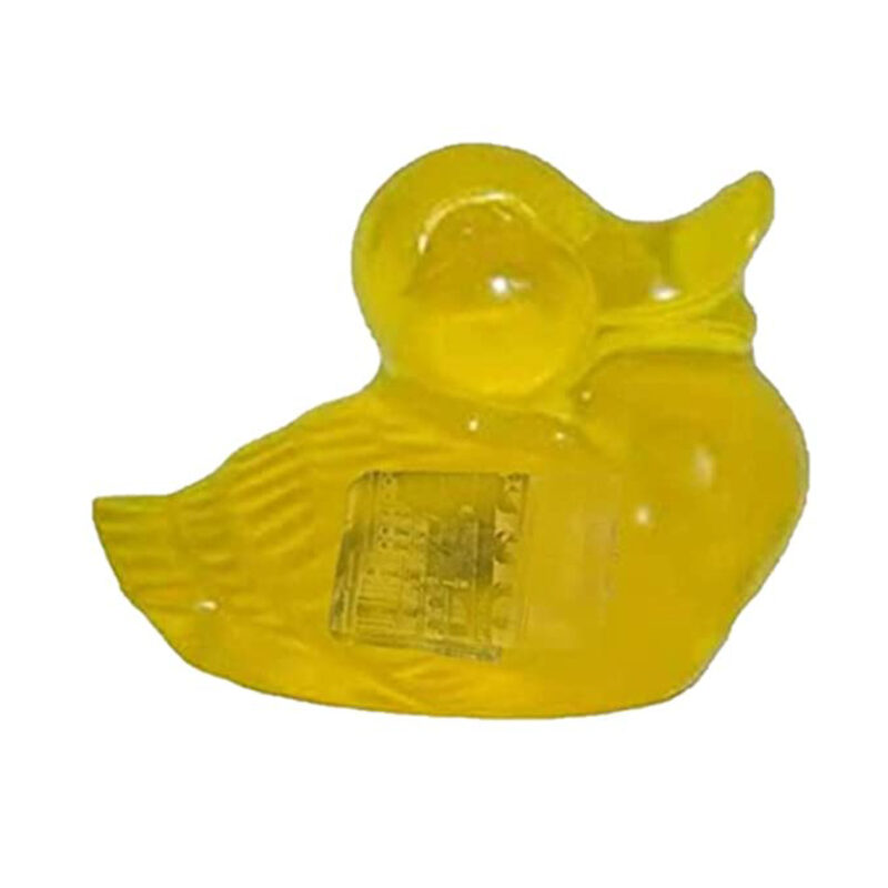 duck soap with money in center