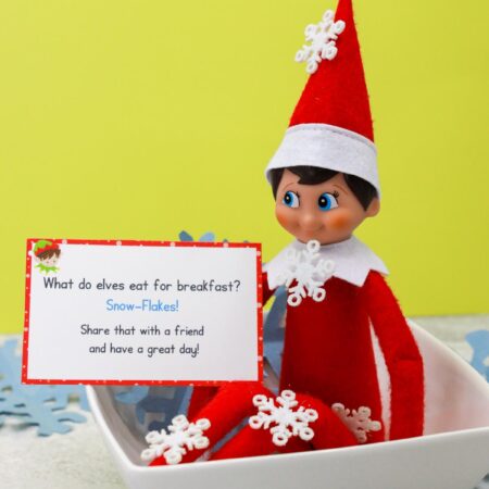 elf on the shelf sitting in a bowl of snowflakes