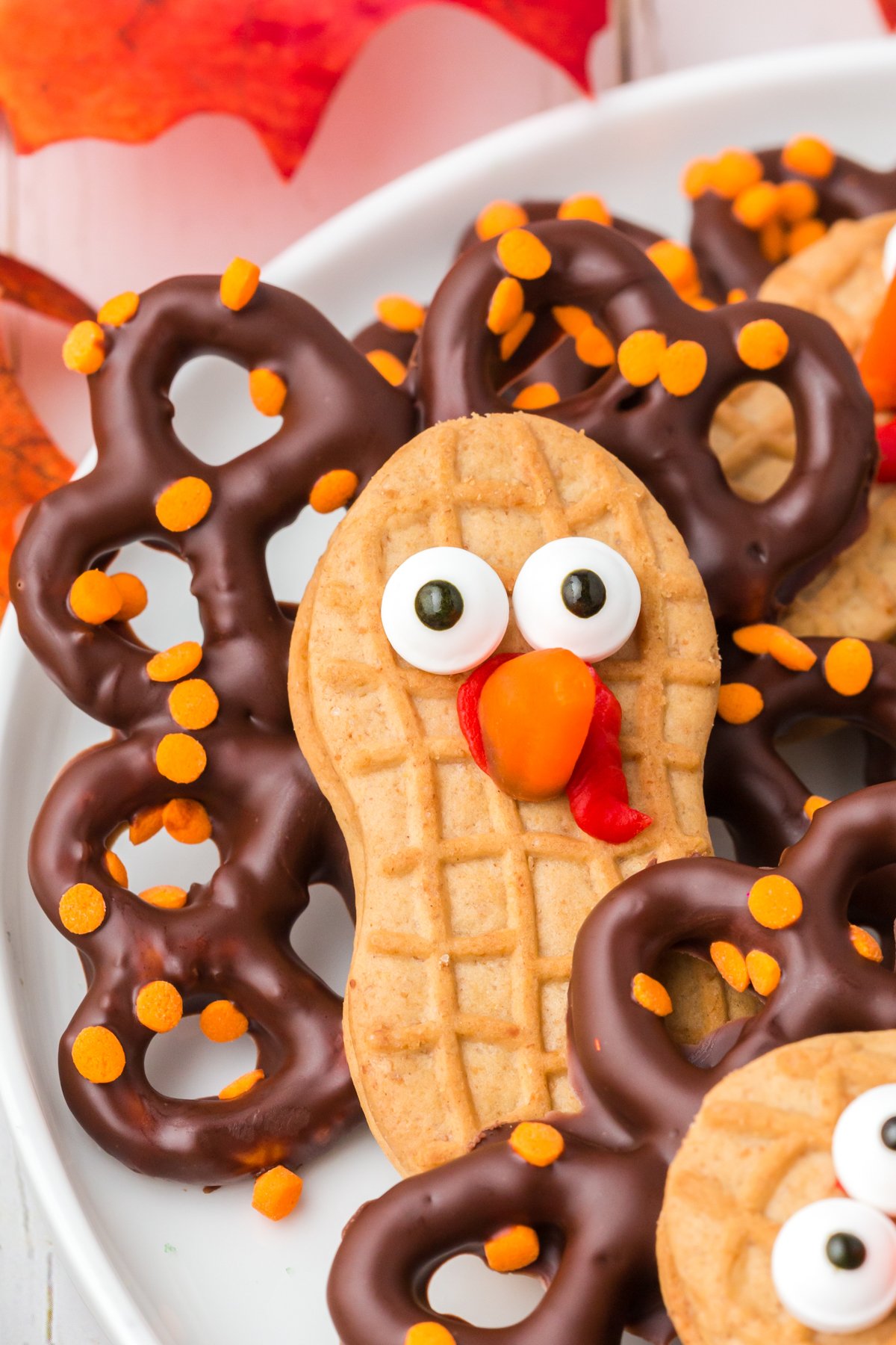 close up of a face on a plate of turkey cookies