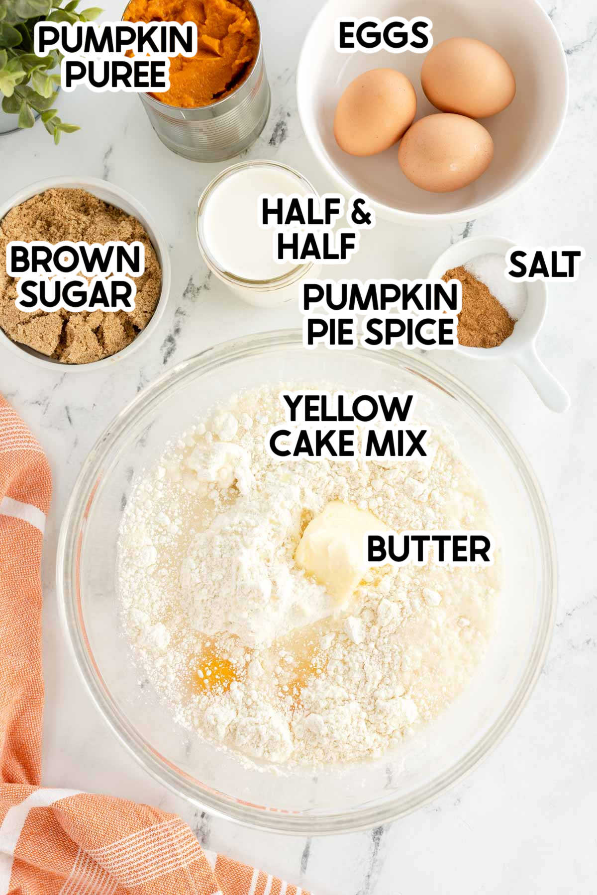 ingredients in pumpkin magic cake with labels
