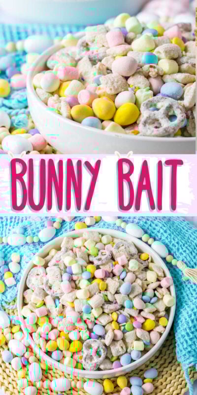 bunny bait collage of images