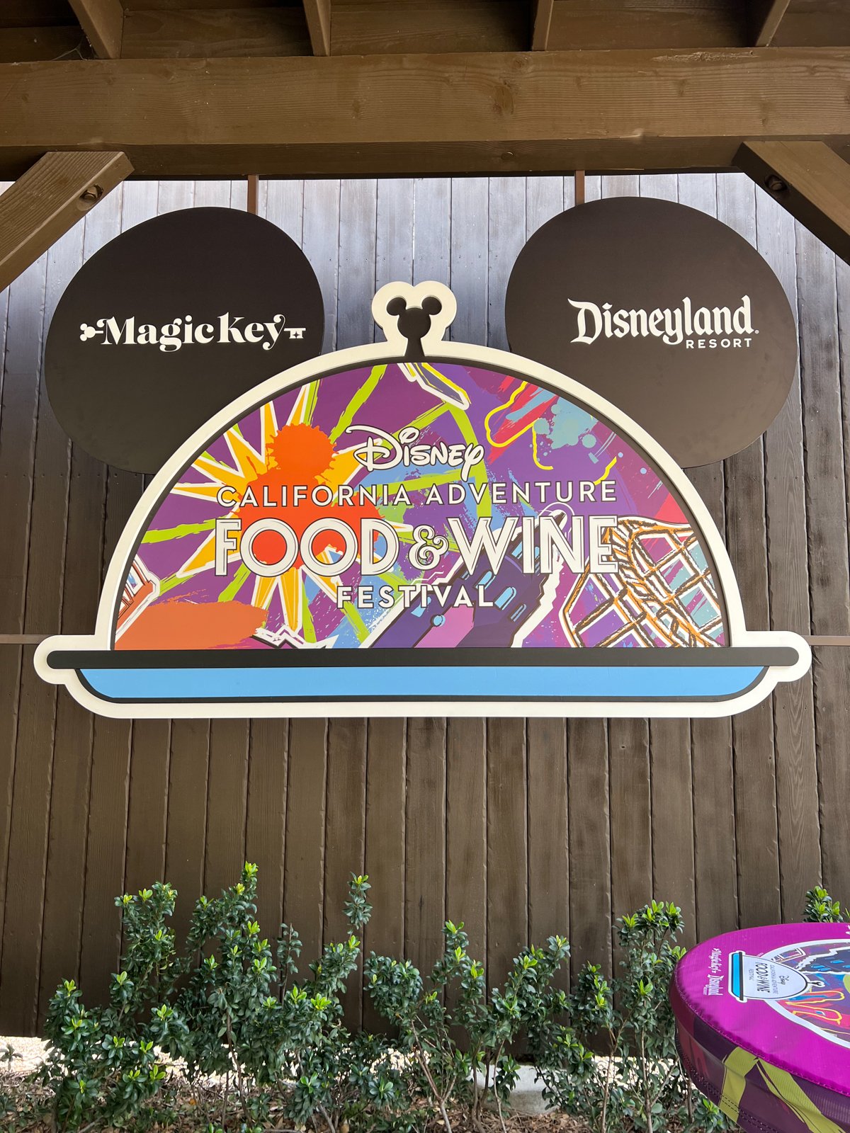 disneyland food and wine festival photo booth