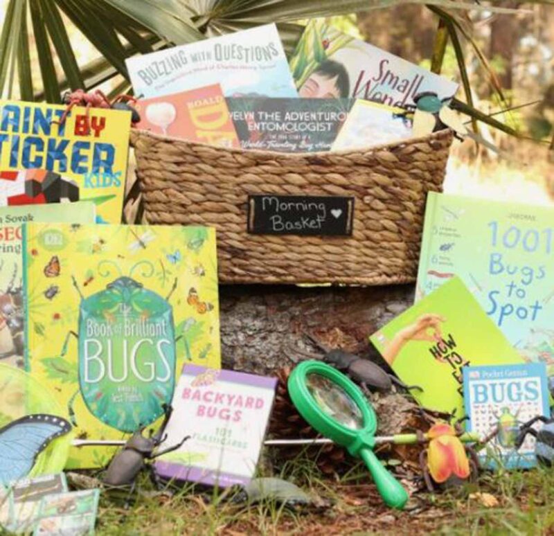 woven basket full of bug books and supplies