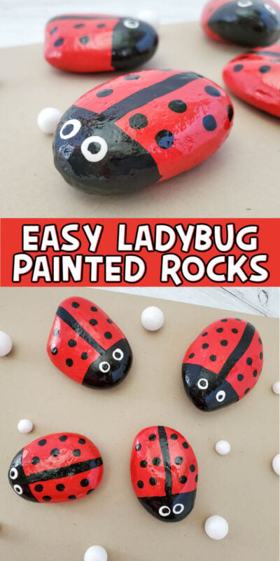 collage of pictures of ladybug painted rocks
