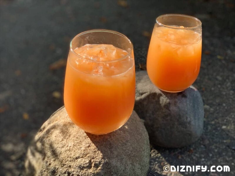 orange punch in a glass sitting on a rock