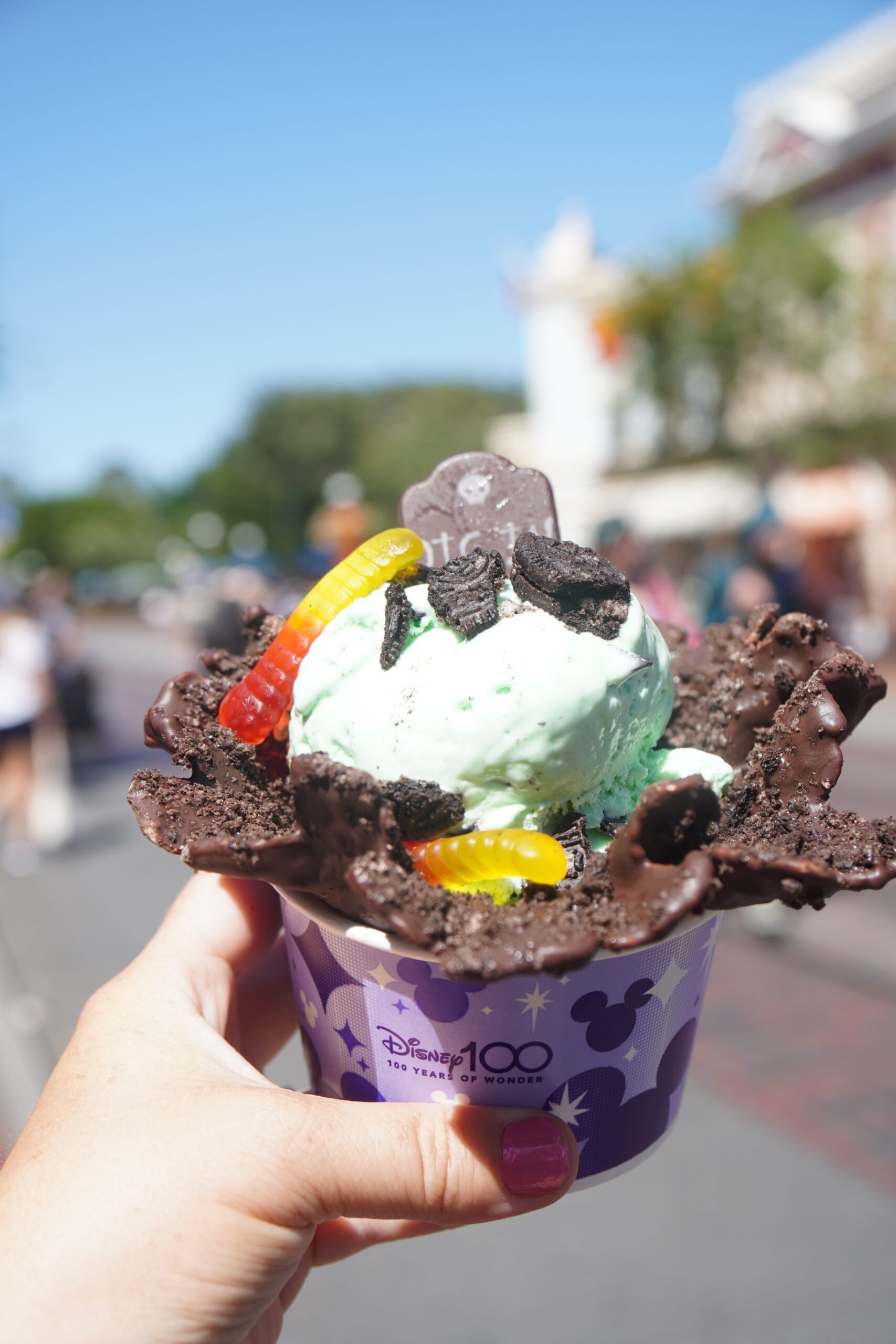 bowl of ice cream cream in a chocolate waffle bowl