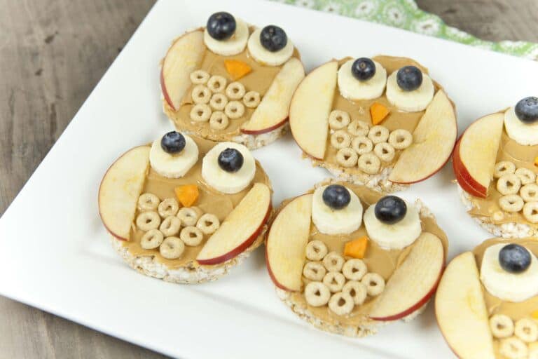 snack owls made from fruit, cereal, and rice cake