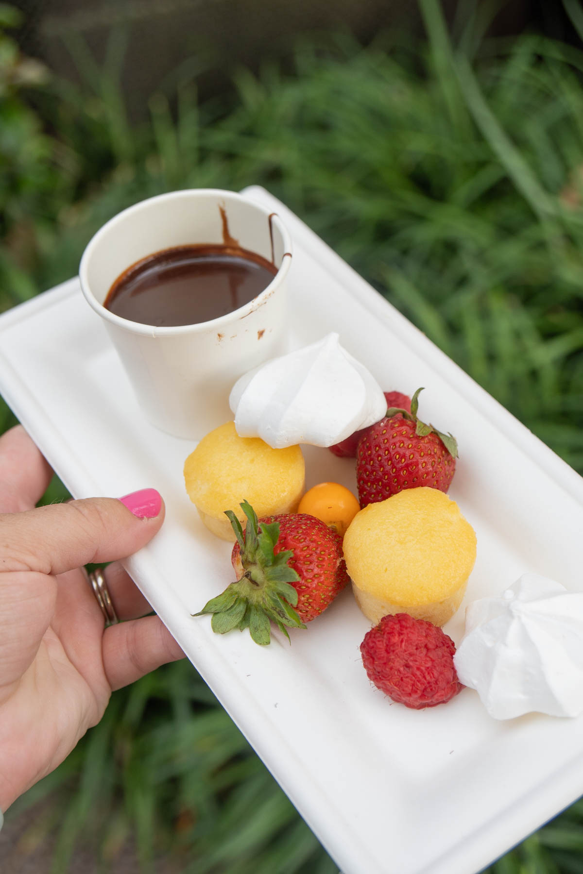 white plate with dipping chocolate and fruit 