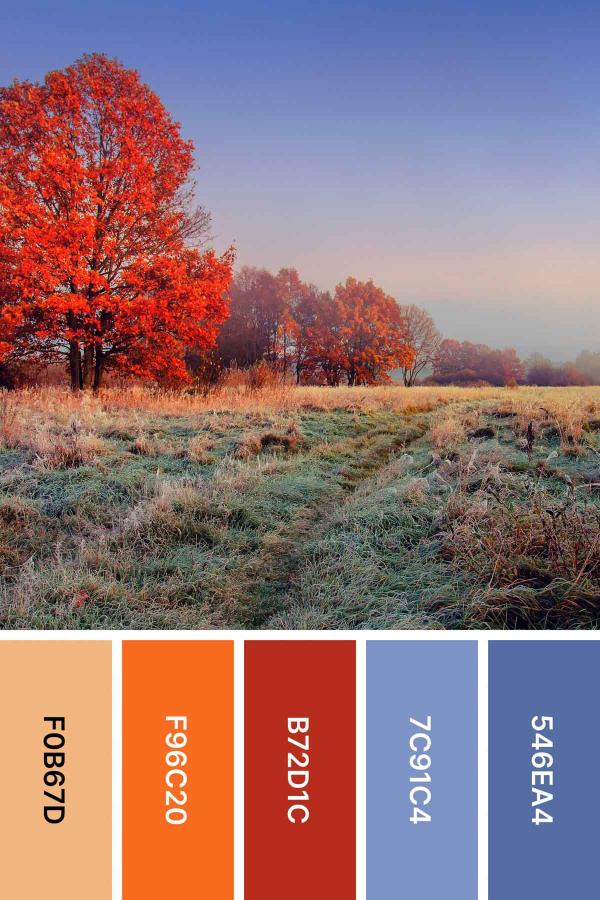 crisp fall day with a fall color palette underneath